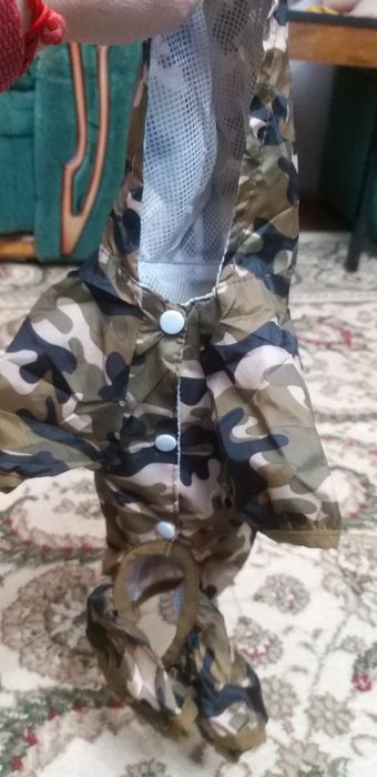 Одежда на осень для мелких пород