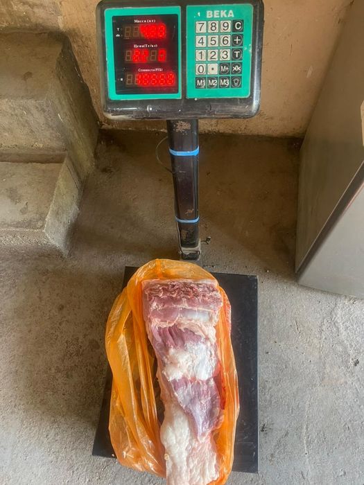 Продам свинину молодую