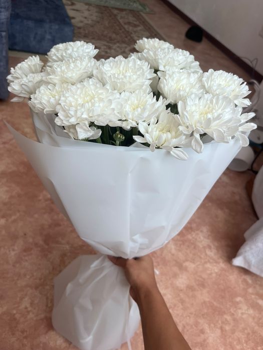 Цветы продам 5500