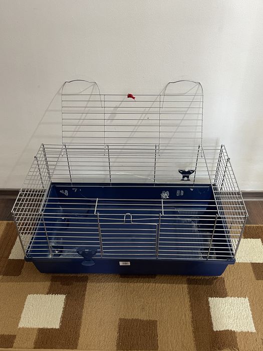 Vand 2 custi hamsteri/porcusori de guineea