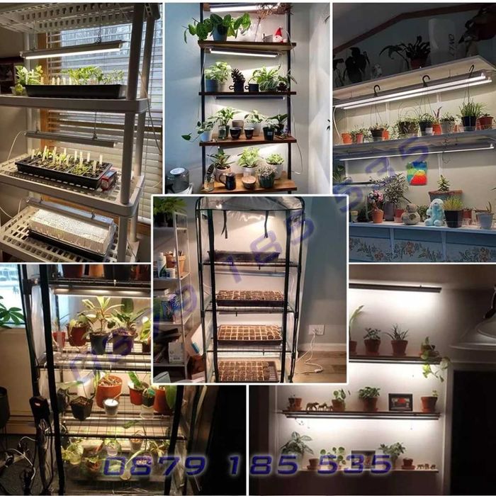 2 LED лампи отглеждане растеж стайни растения цветя фито светлина лед