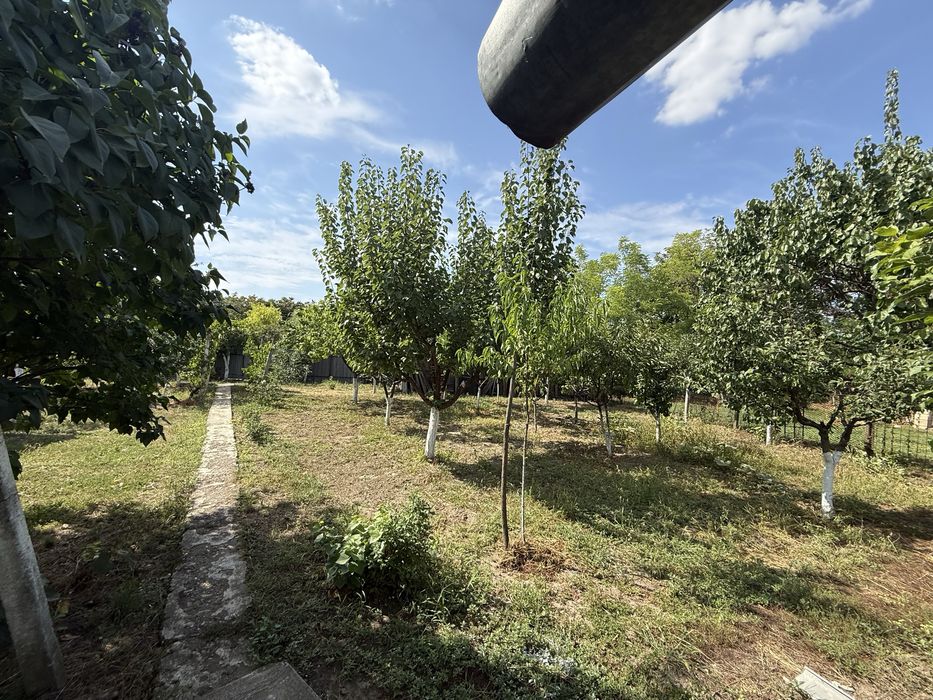 Casa de vanzare ULTRACENTRAL