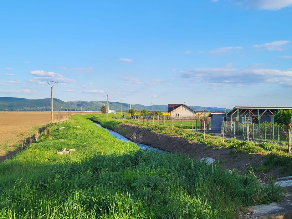 Teren extravilan, Letea Veche