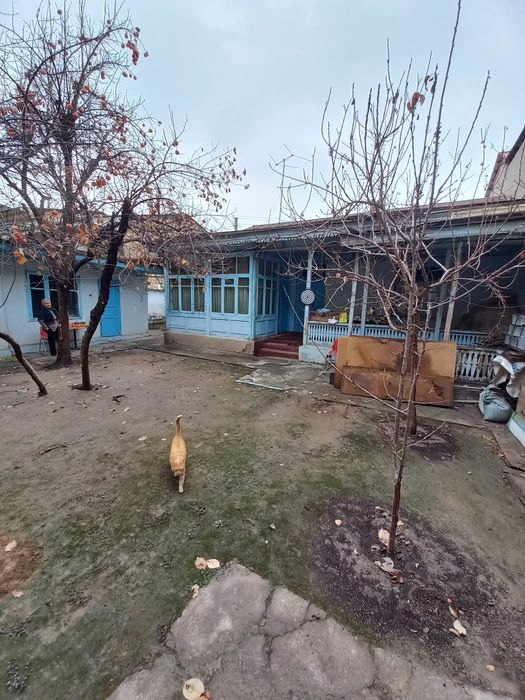 Продаётся 3-дома 1-линия Ракат площадью 9.6-сот Фасад;31-метров