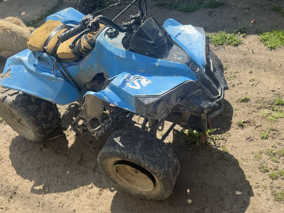 Vand sau schimb atv 125