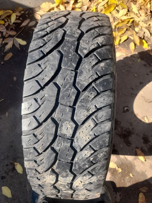 Продам шину р15 .