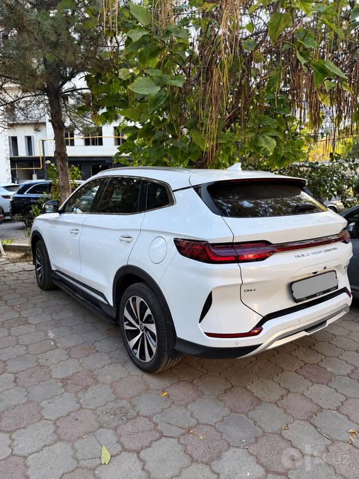 Byd chemion gibrit 150 tali full
