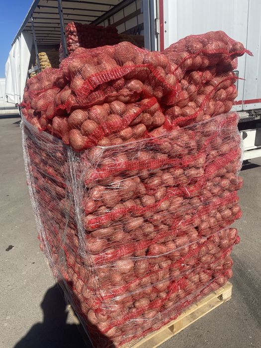 Cartofi +55, Mere , varză, morcovi