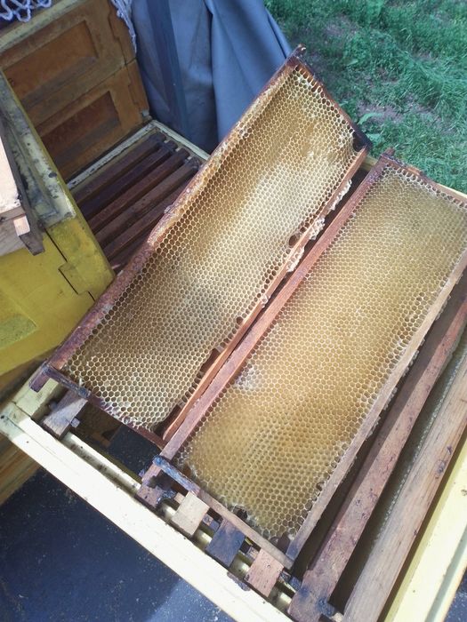 Рамки для пчеловодства