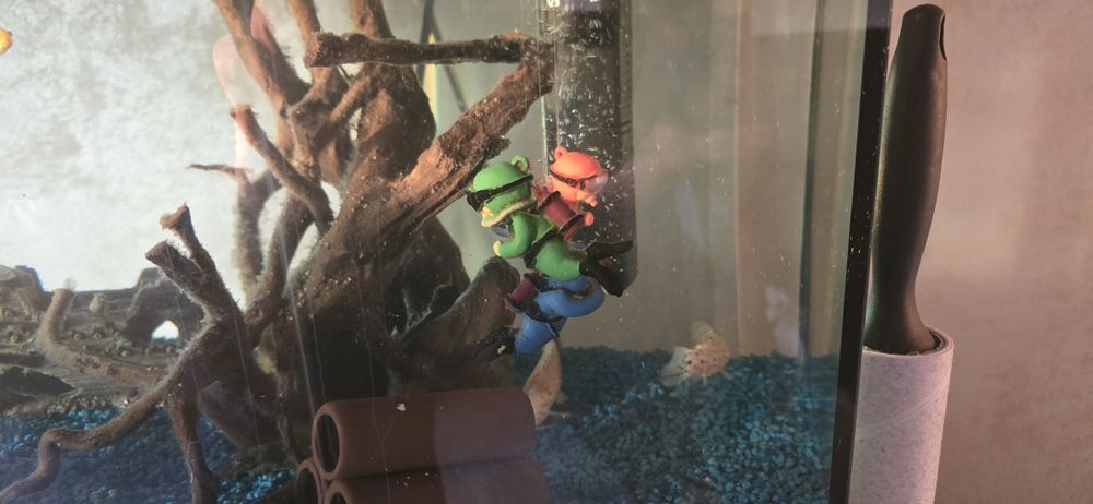 Acvariu cu pesti și accesori