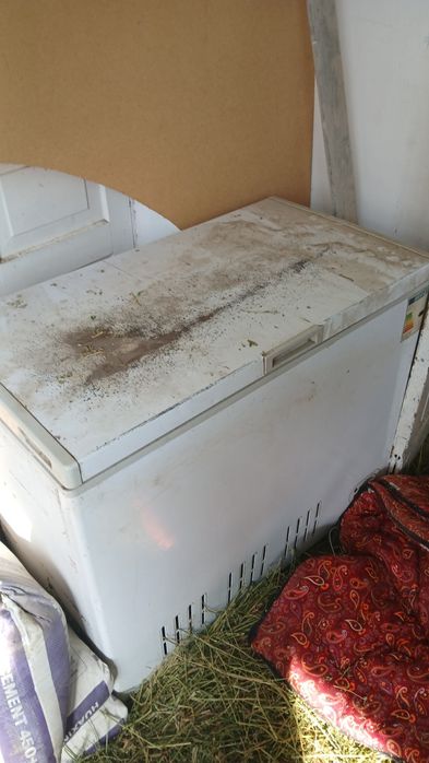 Моразельник холати яхши