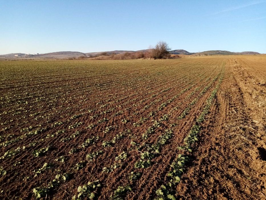 Дава се под наем Парцел в София, Връбница 1 - 1400 кв.м за 239.19 € - Снимка #3