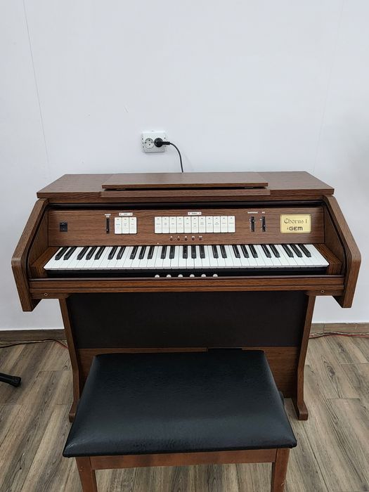 Pian si pianina electrica