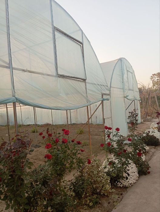 Isiq hona  idyal holatda yangi