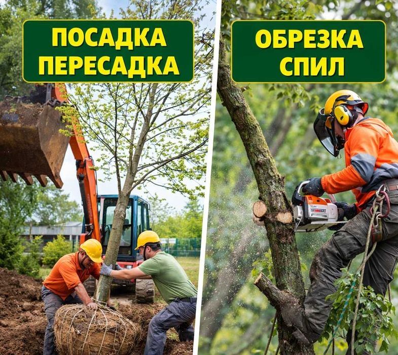 Проф Садовник 24/7