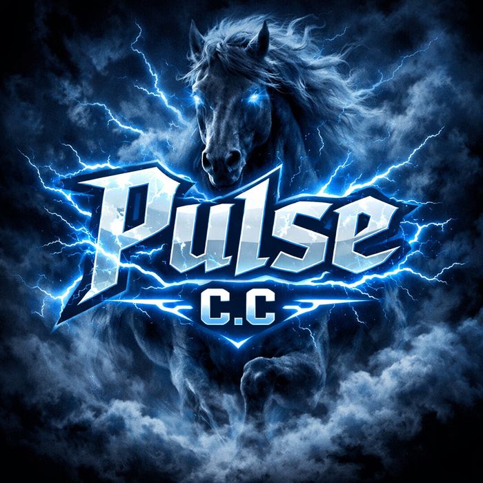 PULSE capsule pentru Potență și energie maximă