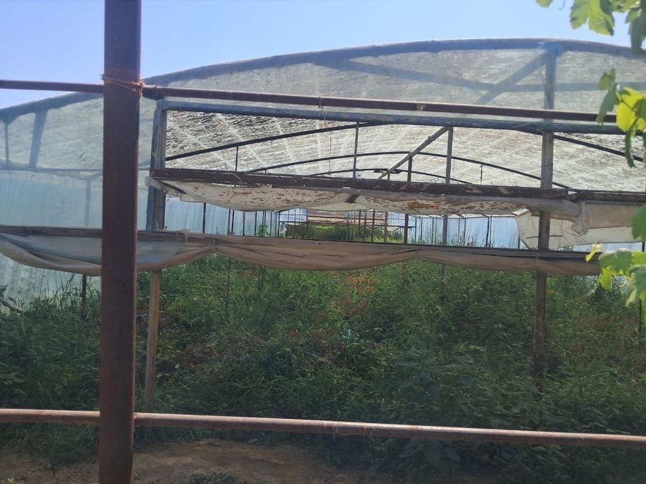 Янгиюл тумани ферма сотилади