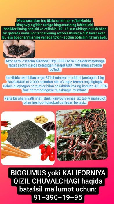 Biogumus va Kaliforniya qizi chuvalchangi sotiladi