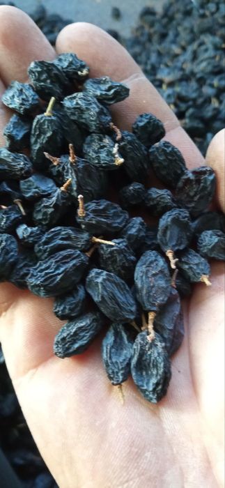 Mayiz olib beramiz cheklanmagan miqdorda