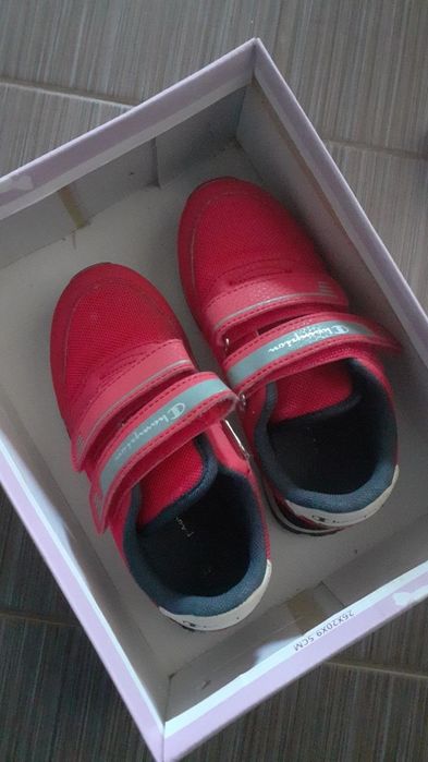 Champion 29.5 /18 cm pe branț