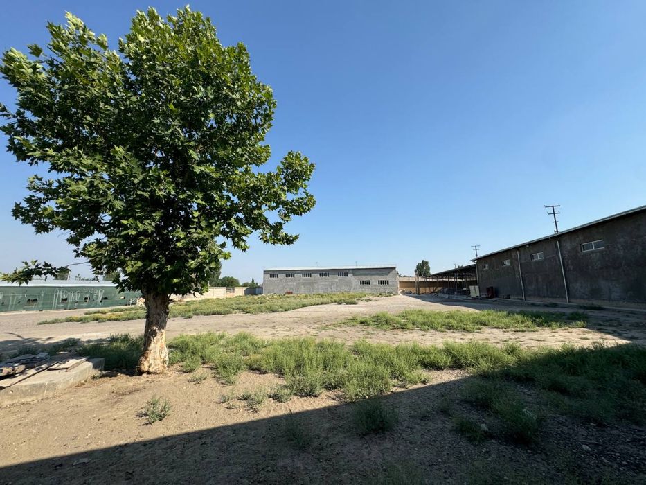 Sotiladi yer 87 stok Toshmi postidan 8km Tolabek