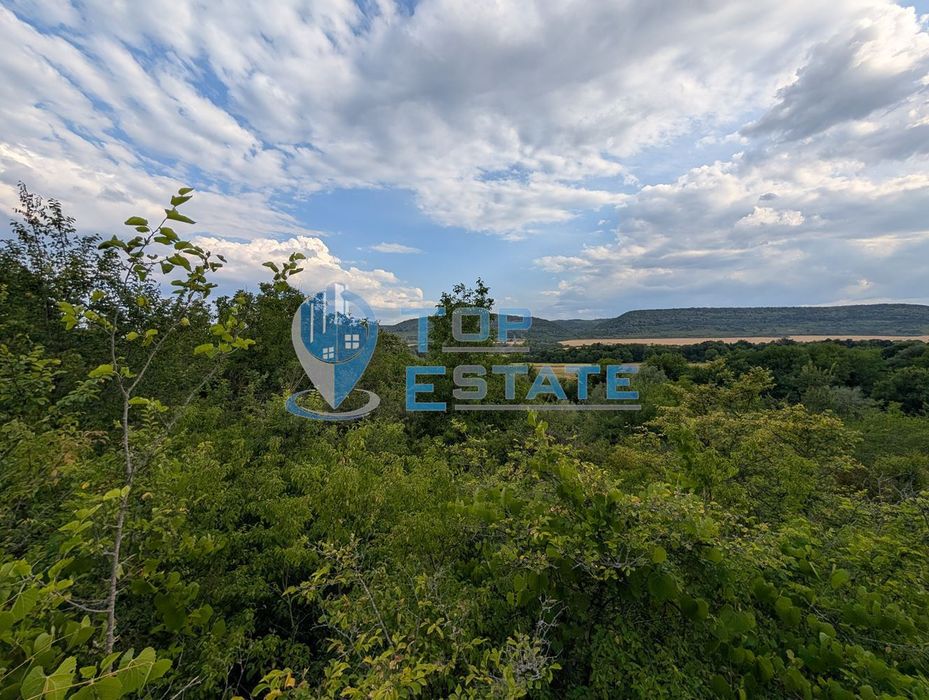 Вила във вилната зона на село Леденик