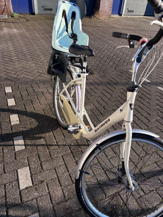 Велосипед Batavus Mambo