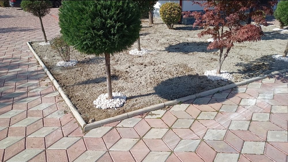 ÎNTREȚINERE ȘI AMENAJARE SPAȚII VERZI – VÂLCEA 

Ofer servicii complete pentru curți, grădini, case de vacanță și spații comerciale