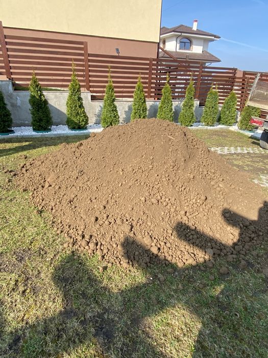 Pamant negru vegetal / Pamant galben nisipos