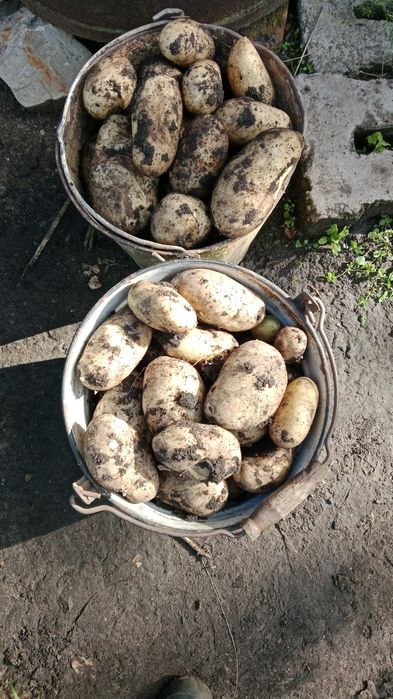 Продам дачу, с/о Эврика