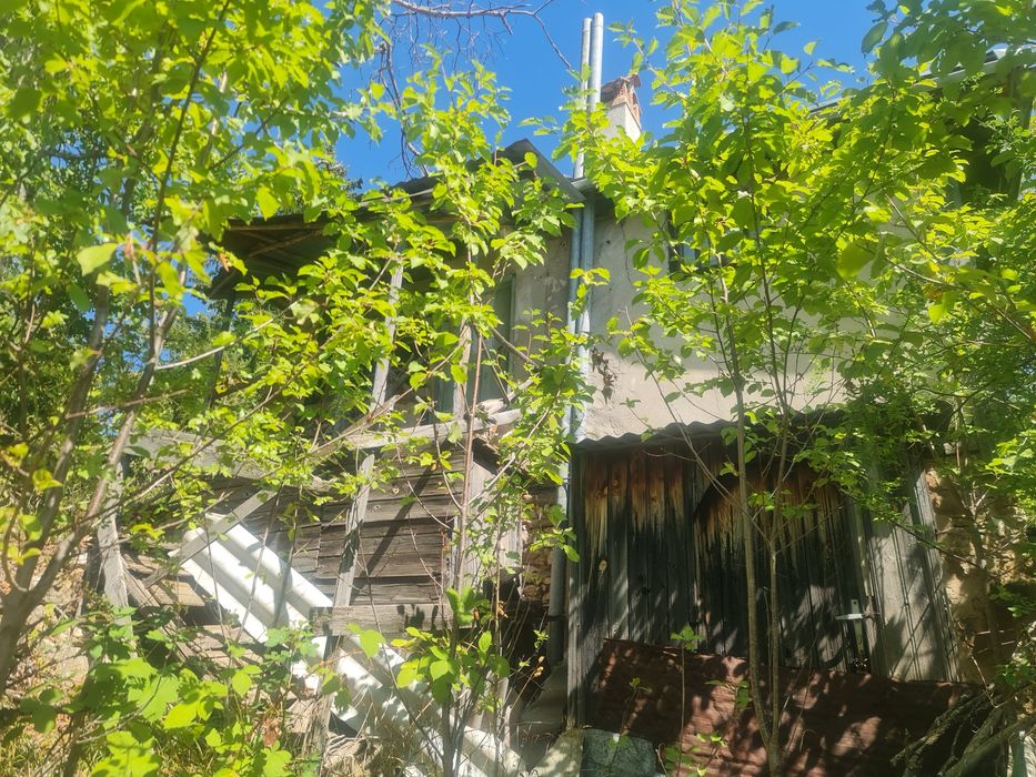 Продава се Земеделски имот в с. Чокманово, Област Смолян -  кв.м за 1450 €/дка - Снимка #9