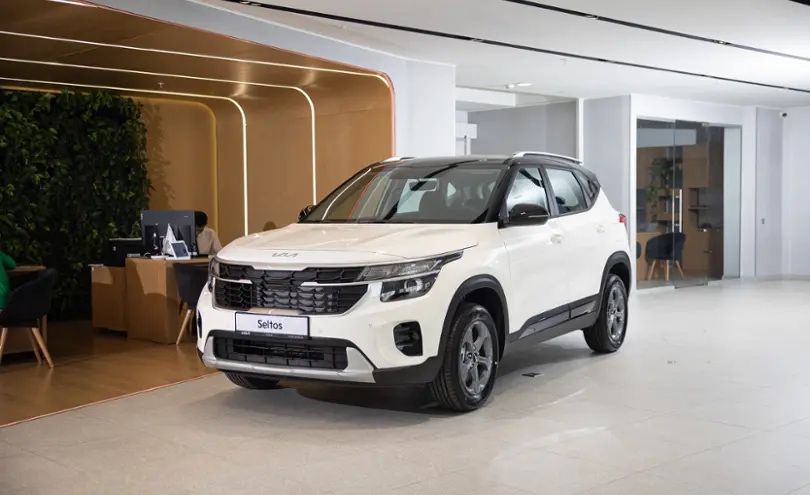 Заглужки под противотуманки KIA SELTOS 24