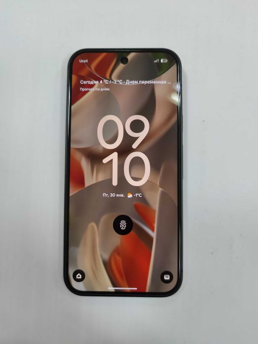 Google Pixel 9 12/128Gb