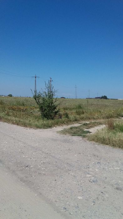 Particular vand teren intravilan 750 mp Aeroport-Ghercesti stradal - Vedere 3