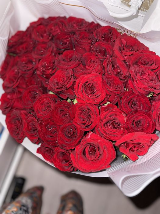 51роза солмаған новый