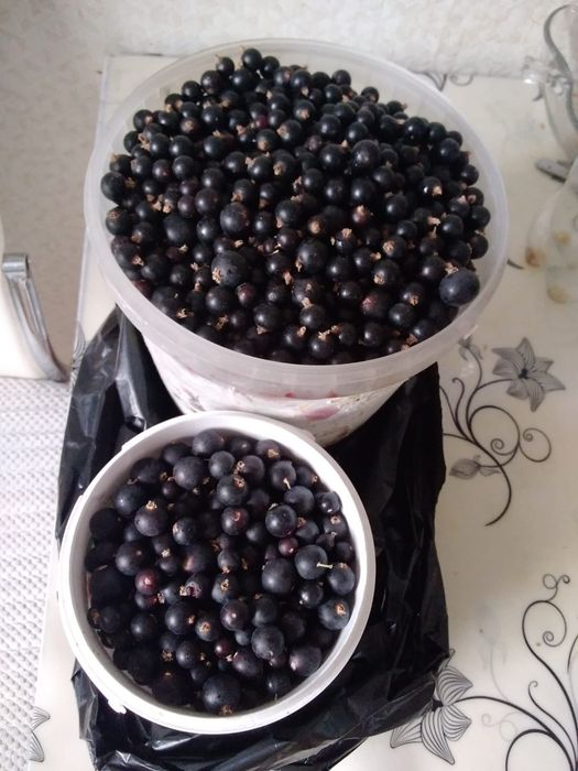 Продукты питания