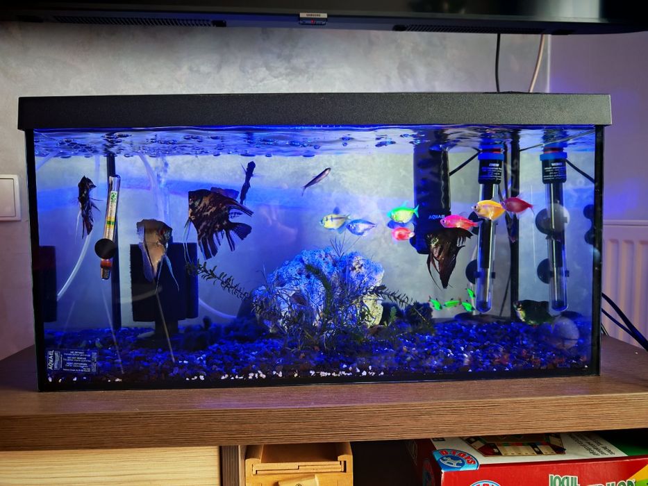 Vând acvariu 55 litri