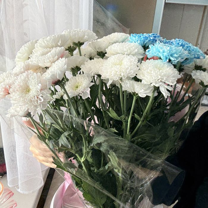 цветы продам срочно
