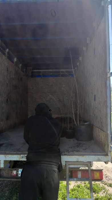 Газель грузоперевозки по городу