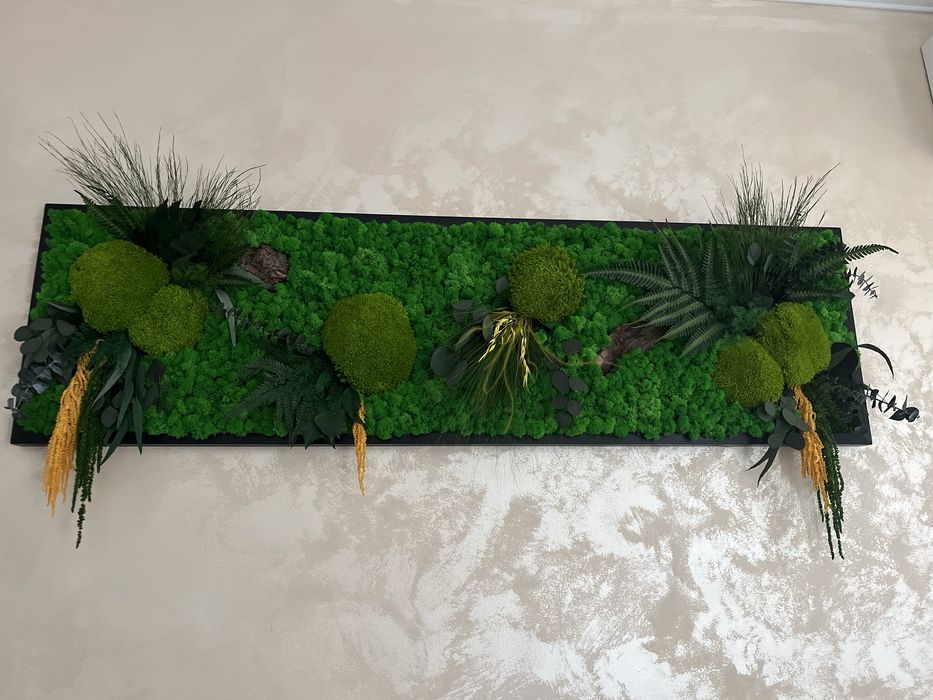 Tablou cu licheni, muschi si plante stabilizate