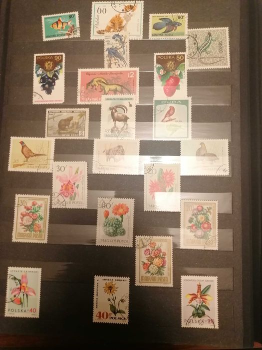 колекция от пощенски марки в класьор