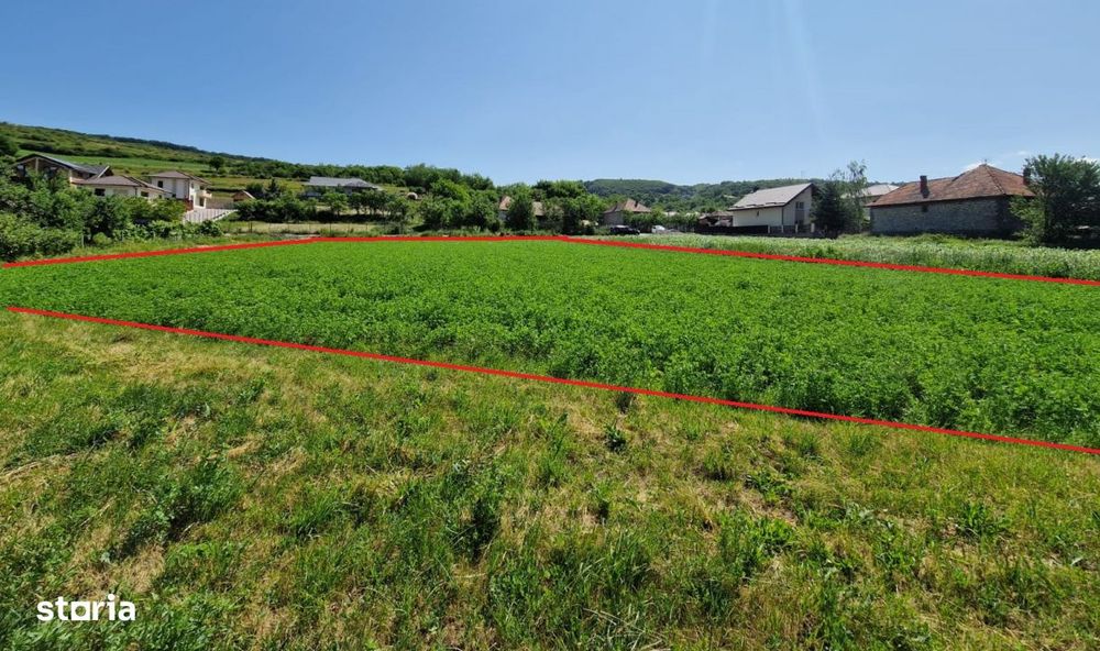 Teren intravilan 2000 mp – Popesti (Baciu) Ideal pentru casa, gradin
