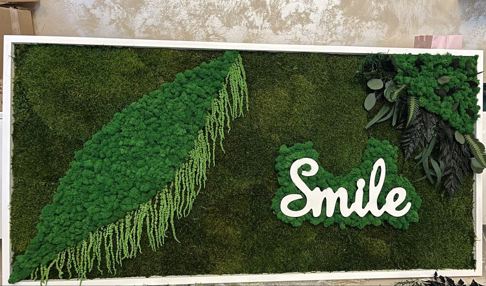 Tablouri cu licheni, muschi si plante stabilizate