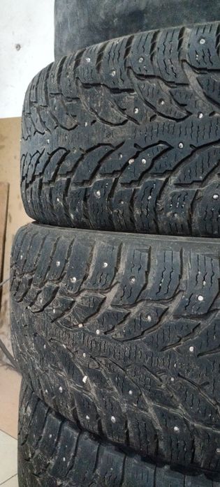 Бу ризина целые без порезов