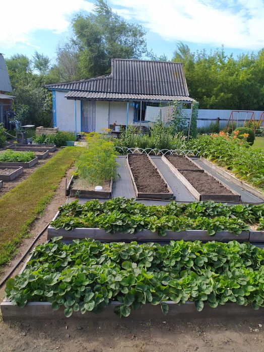 Продам дачу с баней.