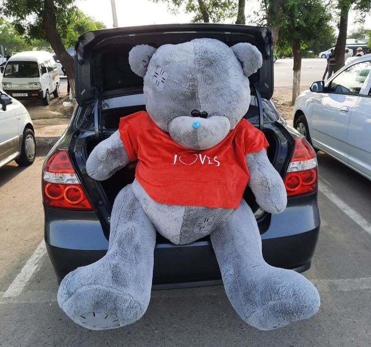 Teddy arzon narxlarda