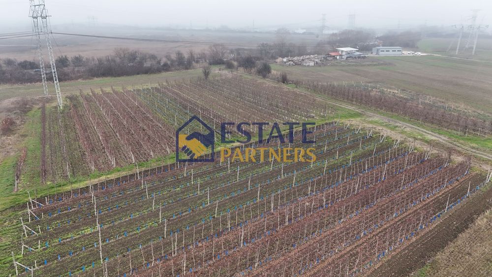 Парцел в Пловдив, област-с.Брестник площ 1401 цена 35025