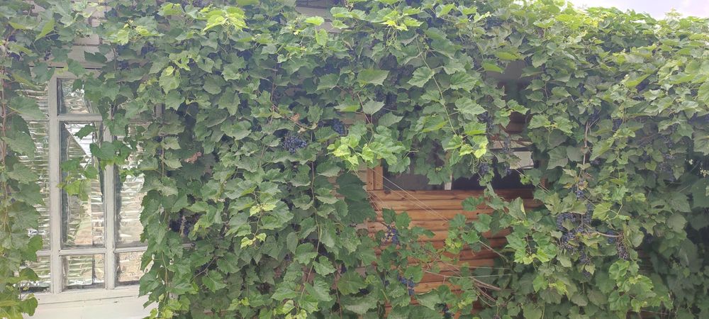 Продам дачу ,район Телецентр