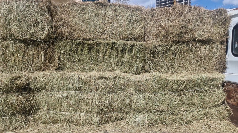 Продам спрессованные тюки сена