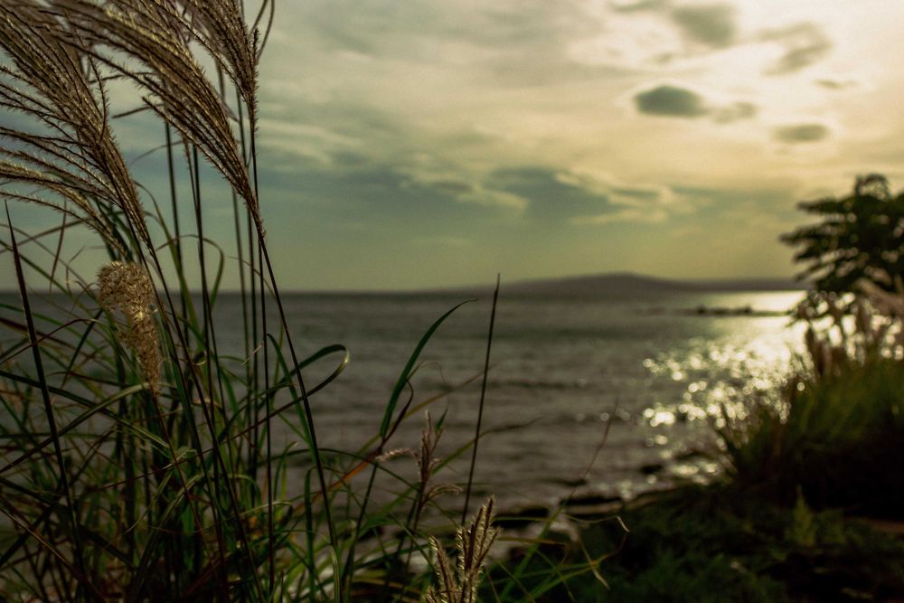 Продава се Къща в Балчик - 365 кв.м за 1866 €/кв.м - Снимка #3